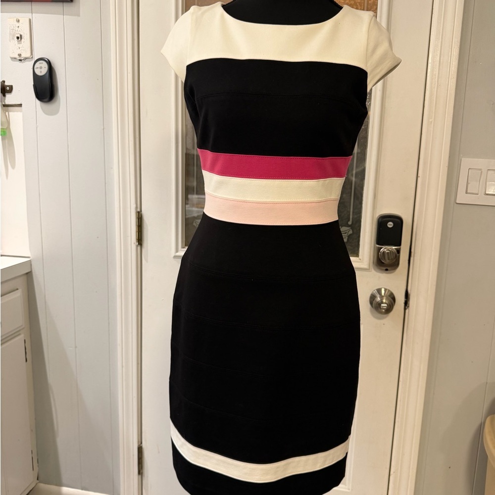 White‎ House Black Market Black and White Dress with Pink Stripe